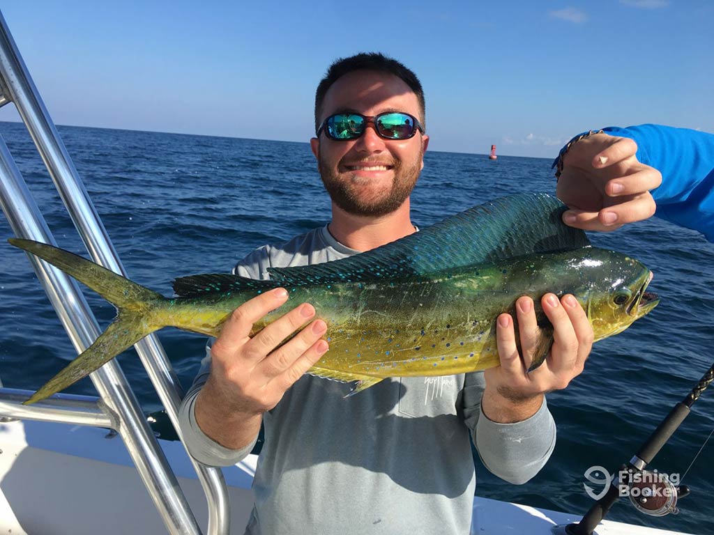 A smiling angler in sunglasses holds a juvenile Mahi Mahi caught on an offshore fishing trip out of Cape San Blas on a sunny day, while another hand assists in holding up the fin above the fish's head, with the water visible in the distance