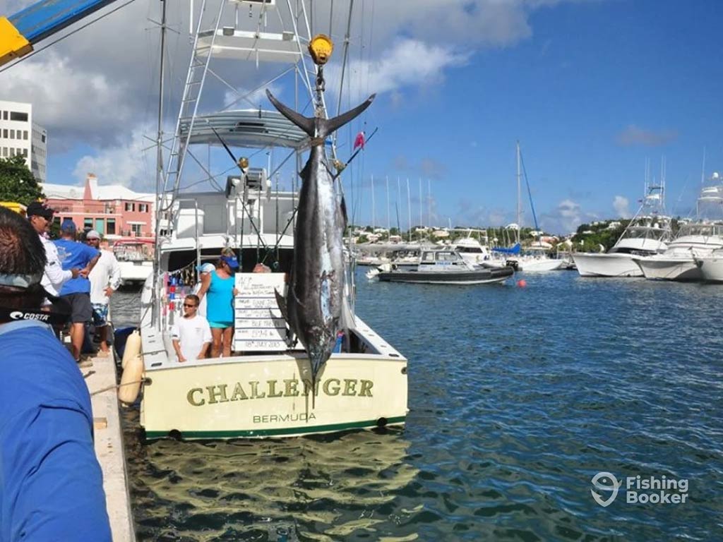 A view along a dock towards a fishing boat moored after a successful trip, with a big Marlin hanging from the back of it on a sunny day in Bermuda