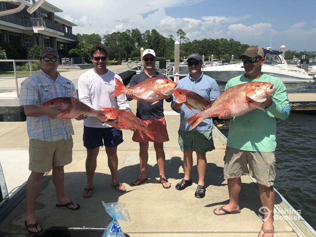 A group of anglers back on the dock on a sunny day, each holding a Red Snapper caught during late spring or early summer on a trip out of Cape San Blas