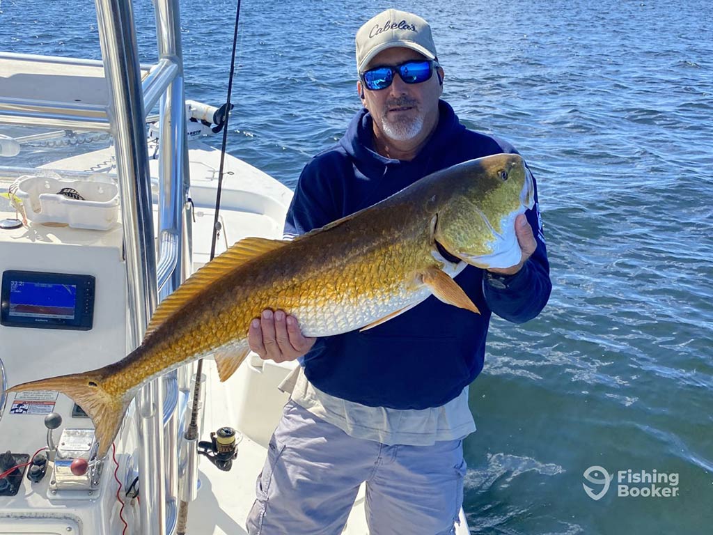 A man in sunglasses and a baseball hat, standing on a fishing boat and holding a large Redfish caught near Cape San Blas on a sunny day