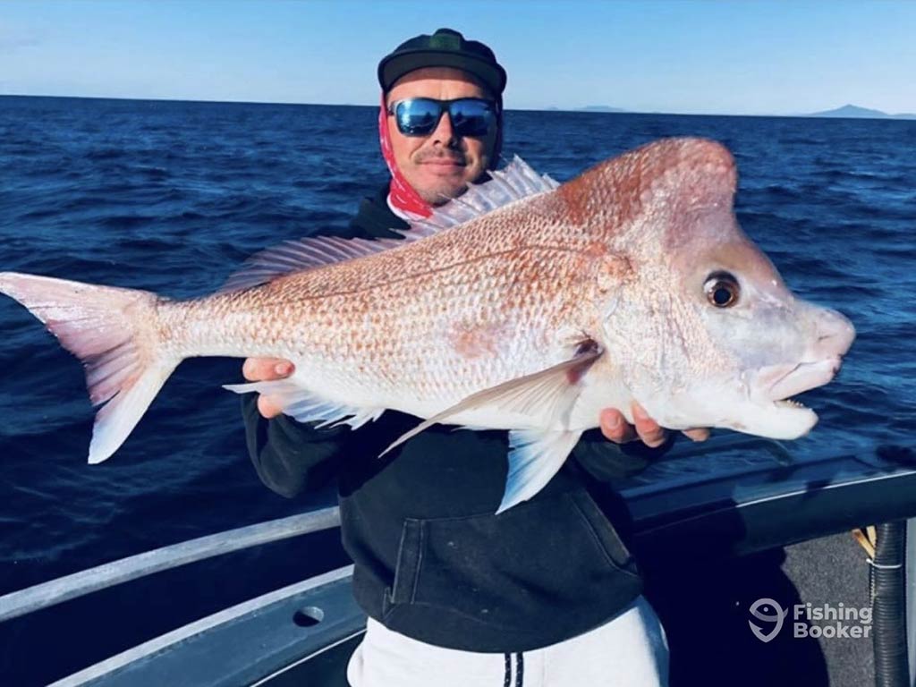 An angler in sunglasses, stood on a fishing charter in Moreton Bay, holding a large Pink Snapper on a sunny day, with water behind him