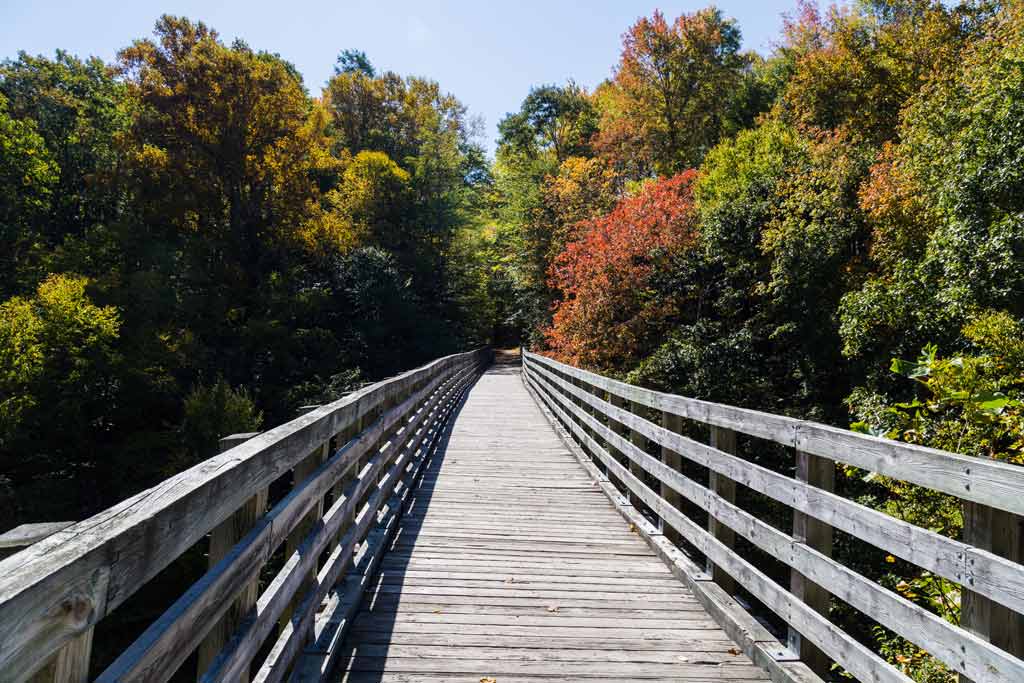 A view of a wooden walkway which is a part of the Virginia Creeper Trail, located near Abingdon, with dense forestry surrounding the walkway.