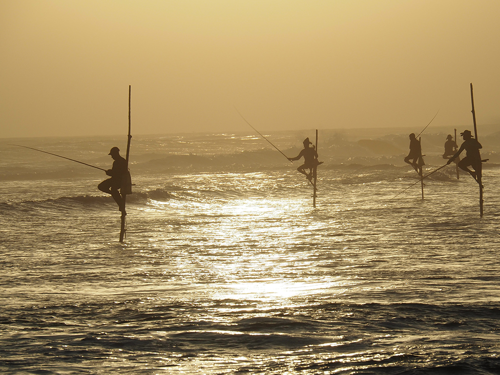 A shot of people stilt fishing in the sea during the sunset