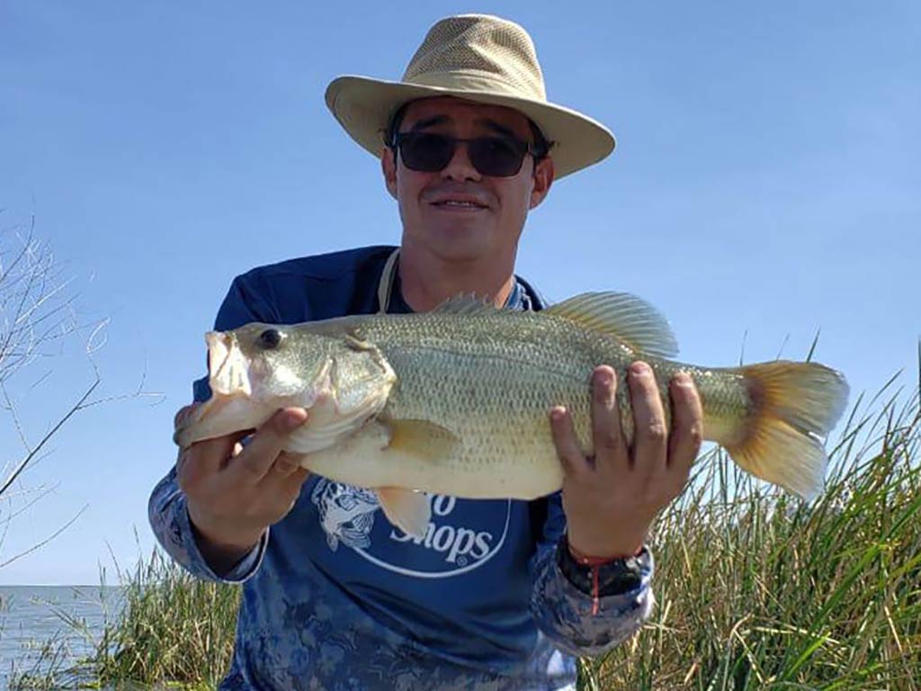 A man in a straw hat holding a Largemouth Bass in front of some reeds on a lake in Mexico on a clear day