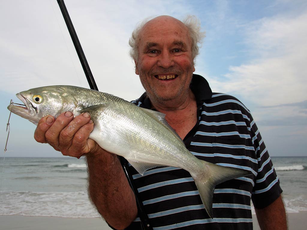 An elderly angler holds a Bluefish in his right hand after a successful cast into the surf in Western Australia on a cloudy day