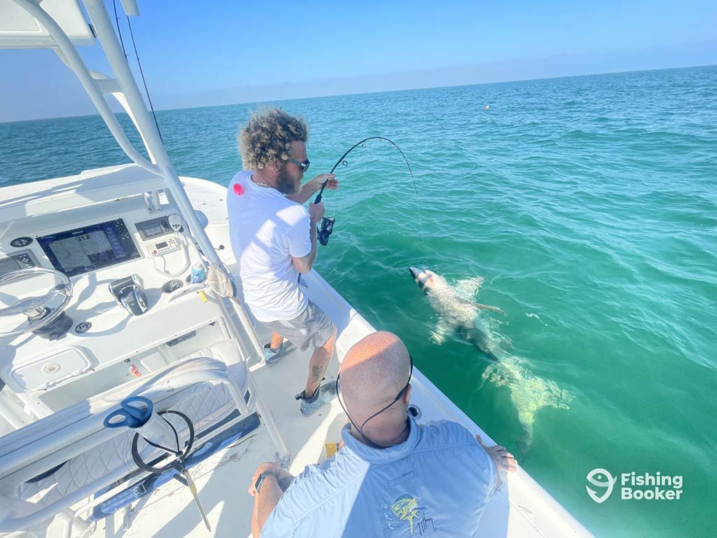 An angler fishing off the side of a boat in Stock Island, with a Shark on his line near the top of the water on a sunny day