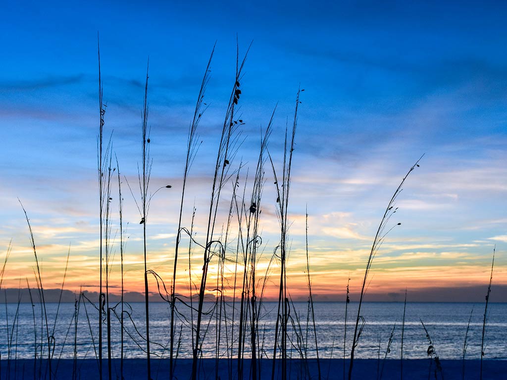 A view through the grass, across a beach towards the Gulf of Mexico from Cape San Blas with the sun setting in the distance