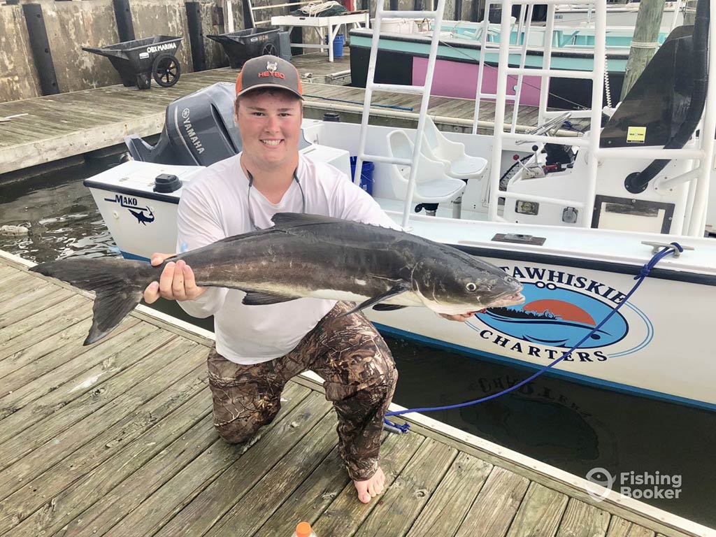 An angler in a baseball cap, crouching and holding a Cobia caught while fishing nearshore in Wanchese, NC, with a charter boat behind him in the water