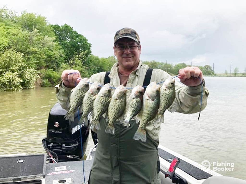 An angler in full wading gear and a baseball cap, standing on an aluminum fishing boat with a motor visible behind him, holding a number of Crappie on a string on a cloudy day