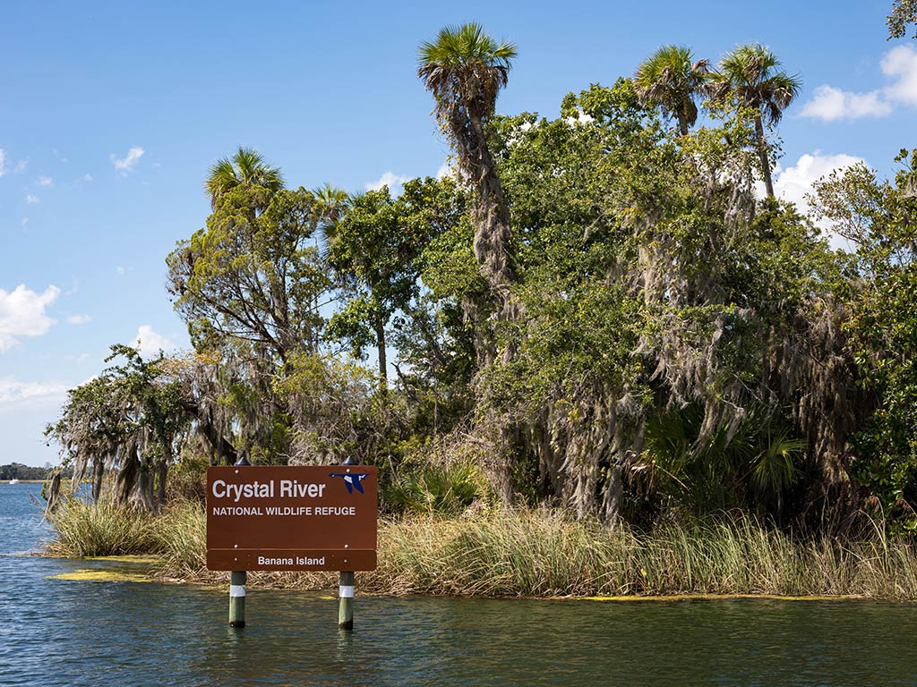 A view from a boat towards a sign saying "Crystal River"