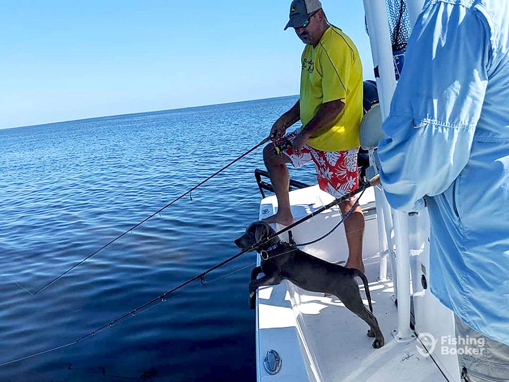 Two anglers dangle their fishing rods into the calm waters off the side of a fishing boat on a clear day, as a dog also looks over the side of the boat in the middle of them