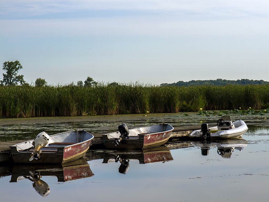 A view across the water towards three small, motorized boats leaning against the shore on the Fox River in Illinois on a sunny day, with trees visible in the distance