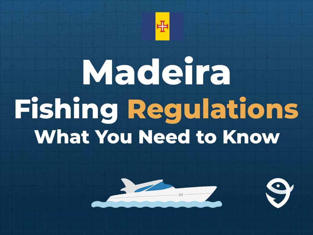 An infographic featuring the state flag of Madeira along with text that says "Madeira Fishing Regulations: What You Need to Know" against a dark blue background