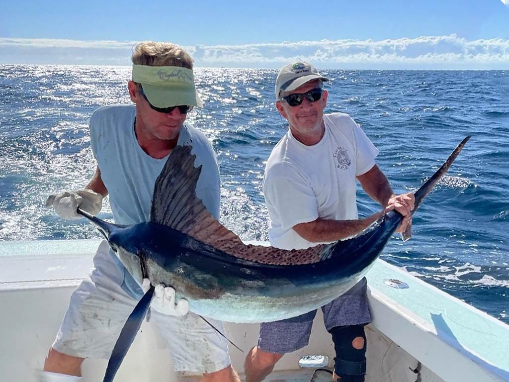 Two anglers struggle to hold a Marlin from either end aboard an offshore fishing boat out of North Carolina on a sunny day with the Marlin bent and open ocean visible behind them