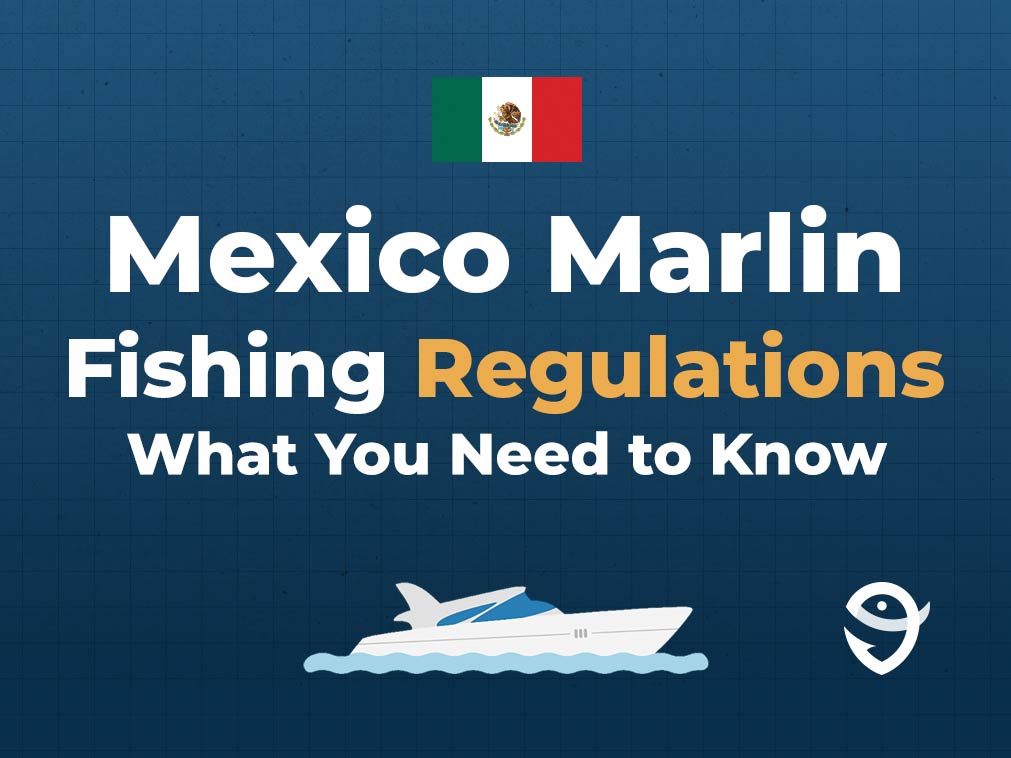 An infographic featuring the flag of Mexico along with text that says "Mexico Marlin Fishing Regulations: What You Need to Know" against a dark blue background