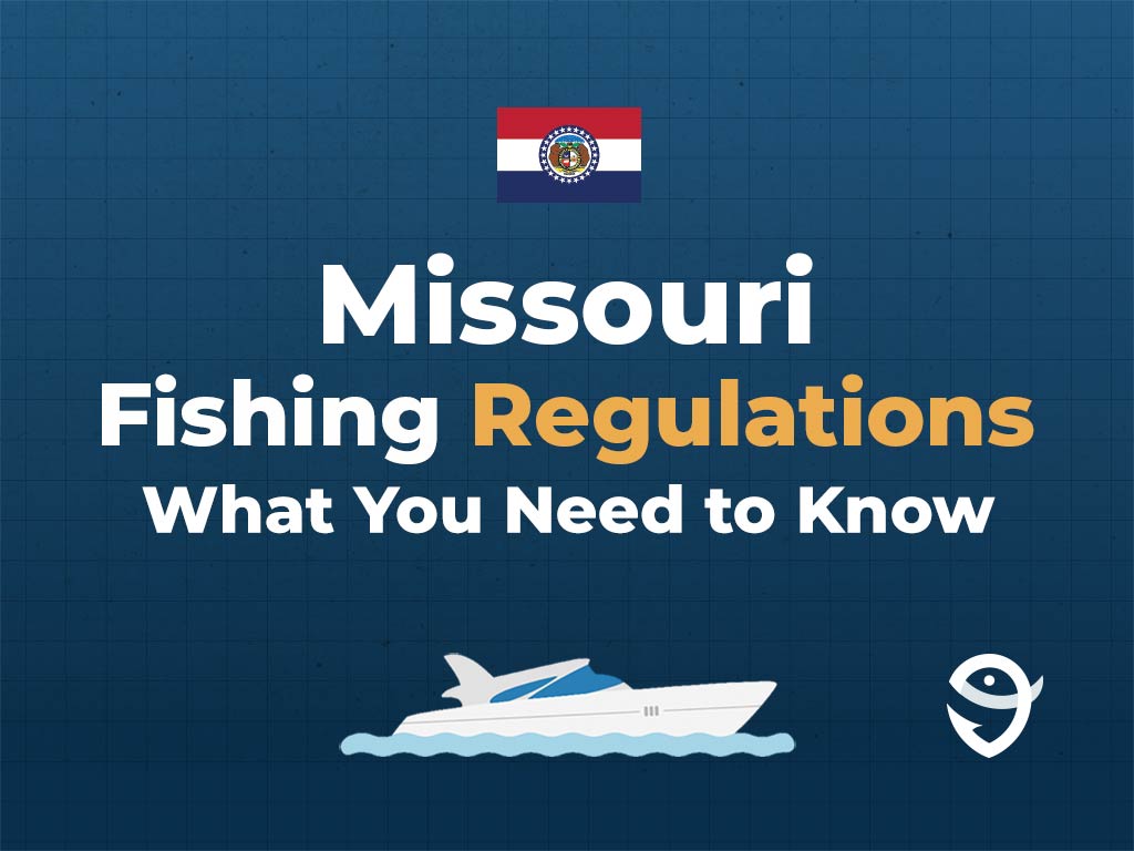 Missouri Fishing The Complete Guide (Updated 2023)