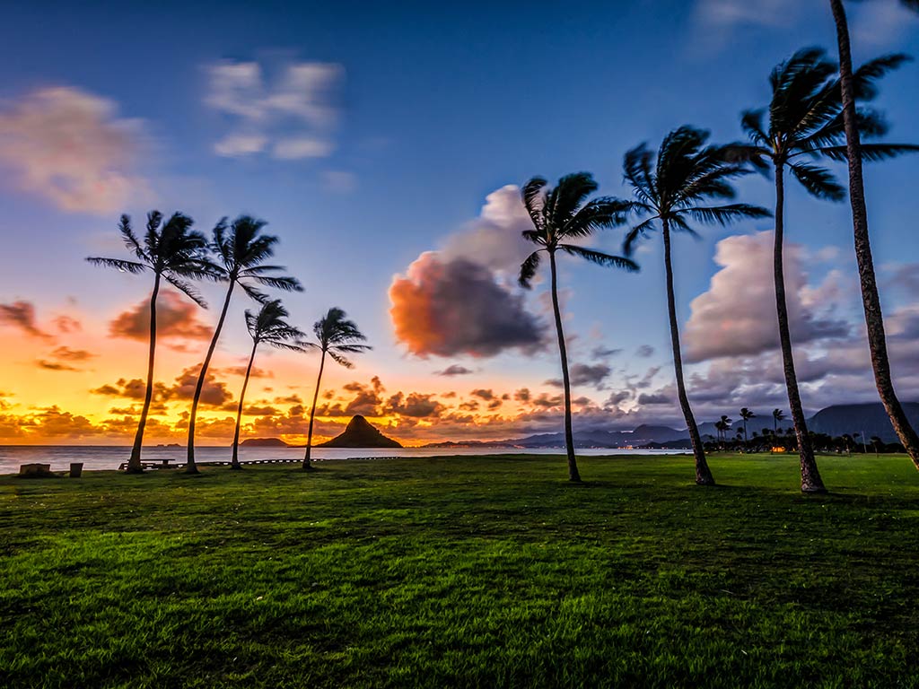 A view across a grassy seafront with palm trees visible on the left and right towards a peak across the water at sunset in Hawaii