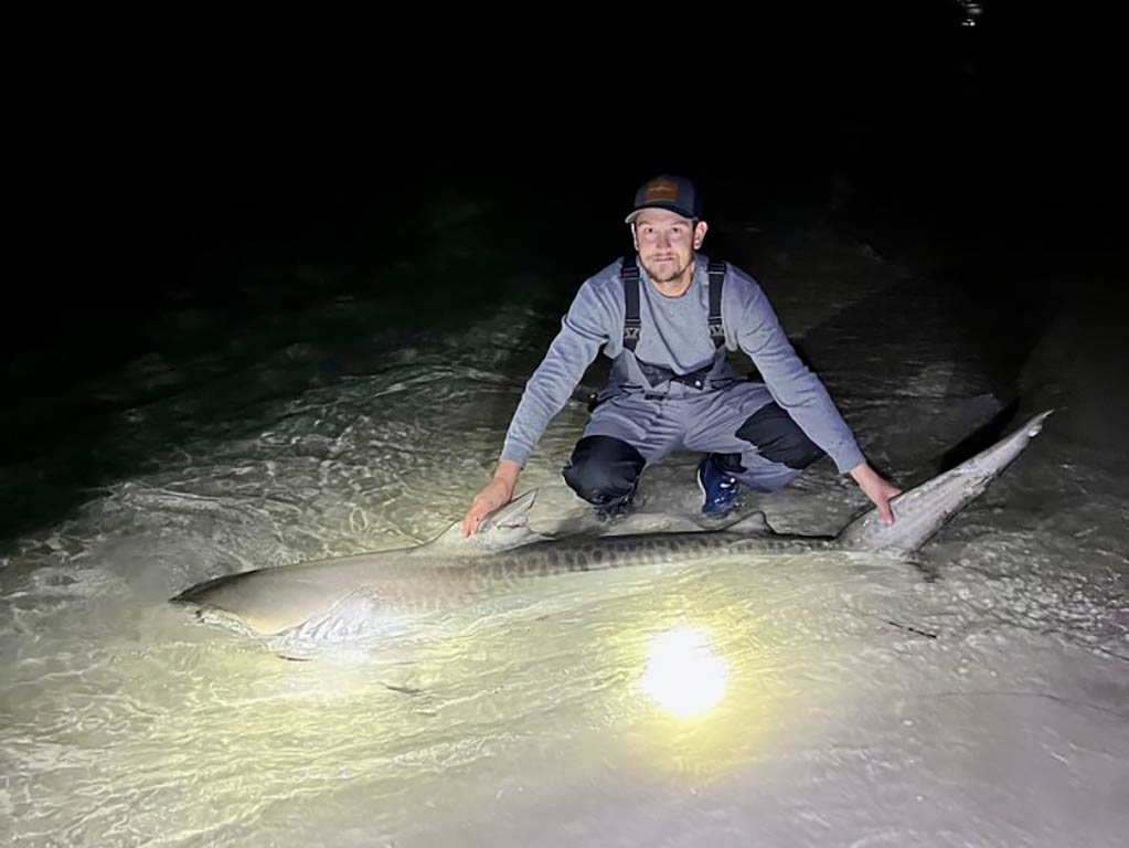 An angler crouches down on a beach at night, holding a large Shark in the water near Cape San Blas