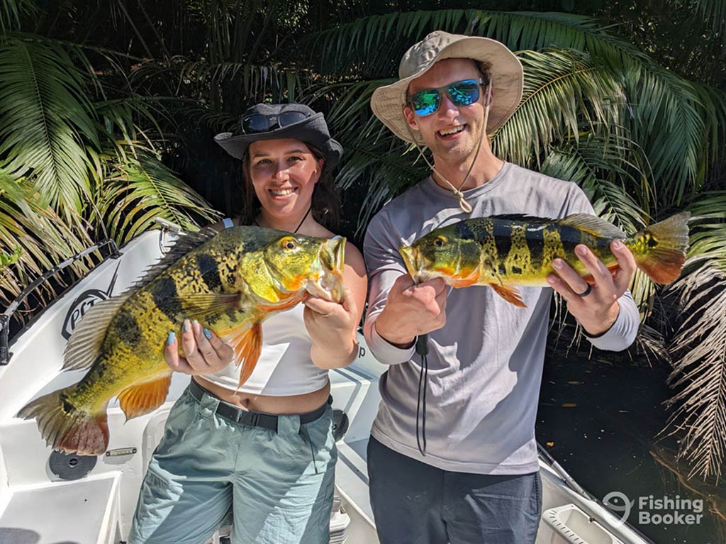 A man and woman stand aboard a boat in the inshore or freshwater fishing grounds of Panamá, each holding a Peacock Bass with some trees behind them