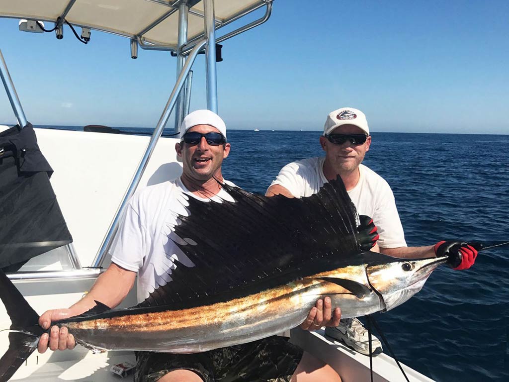 Two anglers sitting on a fishing charter in the Atlantic Ocean and struggling to hold a large Sailfish, with the water visible behind them on a clear day