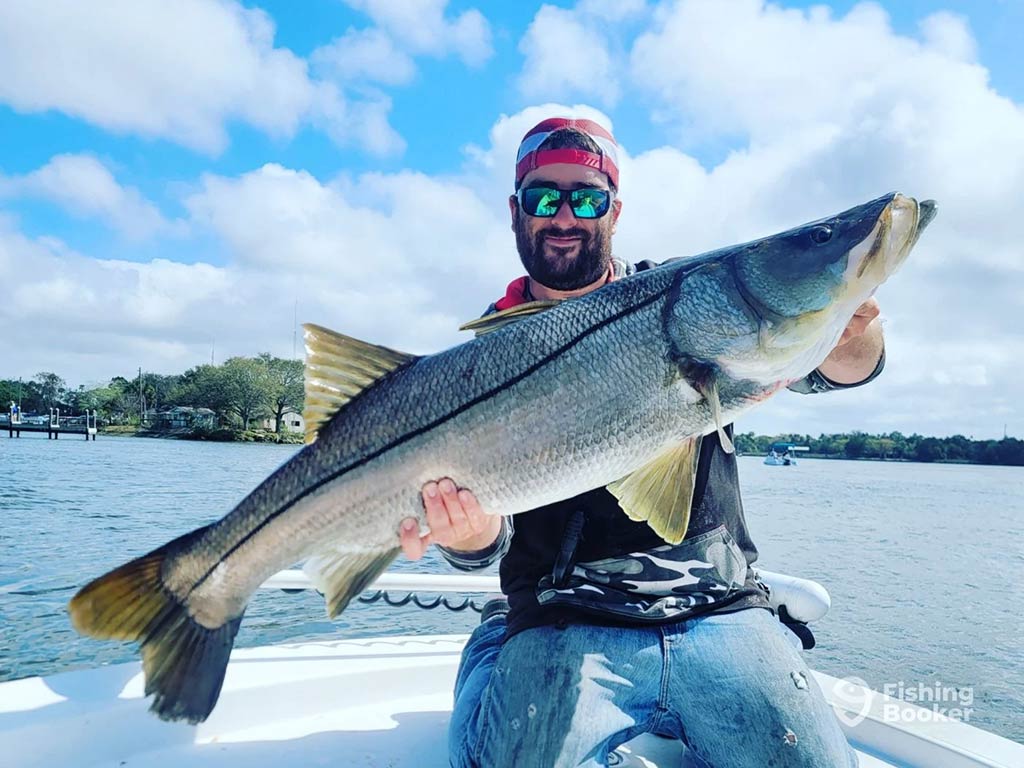 An angler in sunglasses and a backwards baseball cap, sitting on the front of a fishing charter in Crystal River and holding a large Snook, with the water and some land visible in the distance on a clear day