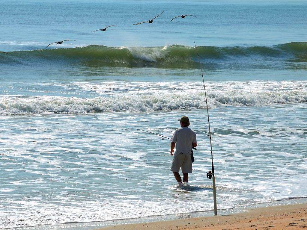 A view from behind of an angler walking into the sea in front of his surf fishing rod that's set up in the sand, while birds fly above the crashing waves on a clear day in Florida