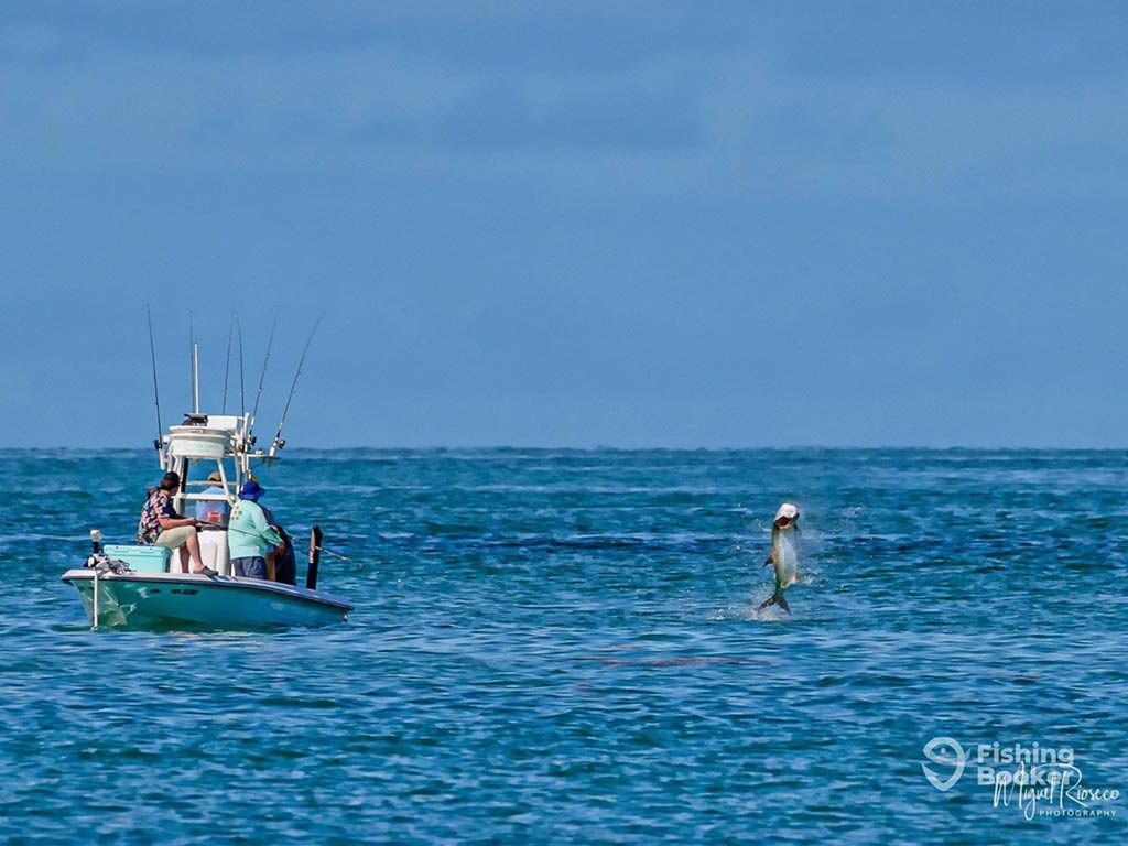 A view across the water towards a fishing boat near the Florida Keys, with people fishing over the side and a Tarpon leaping out of the water into the air a few yards away from the boat