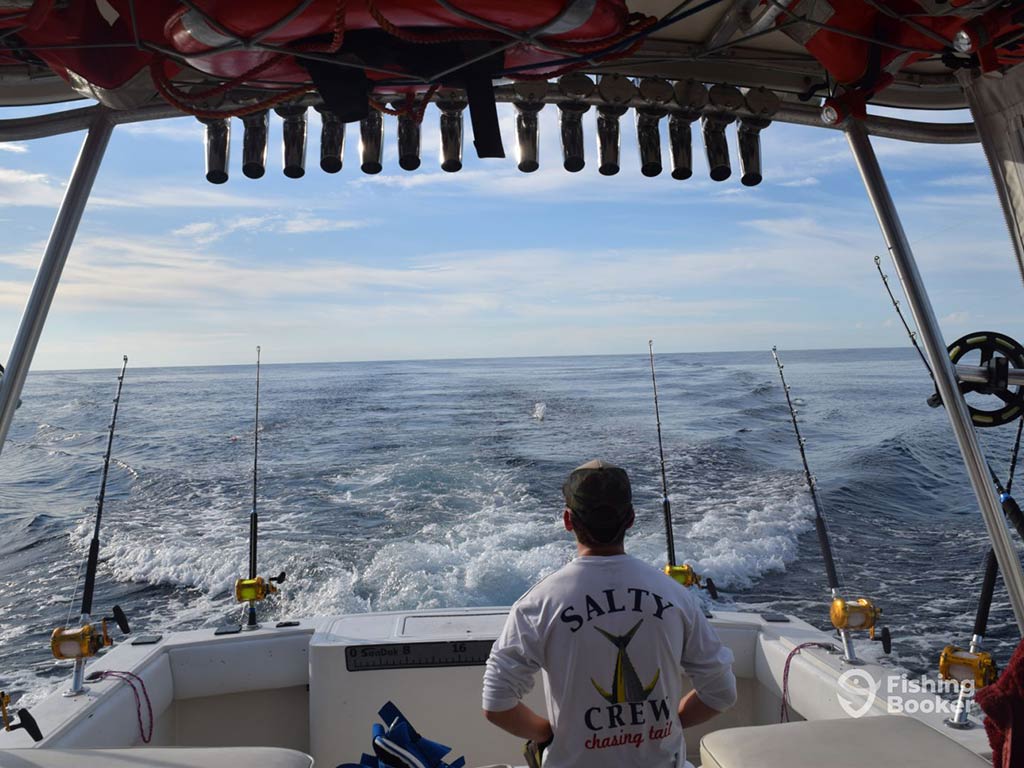 A view out the back of a fishing boat, with four trolling lines trailing behind, and a man visible, looking out at the wake of the boat on a sunny day