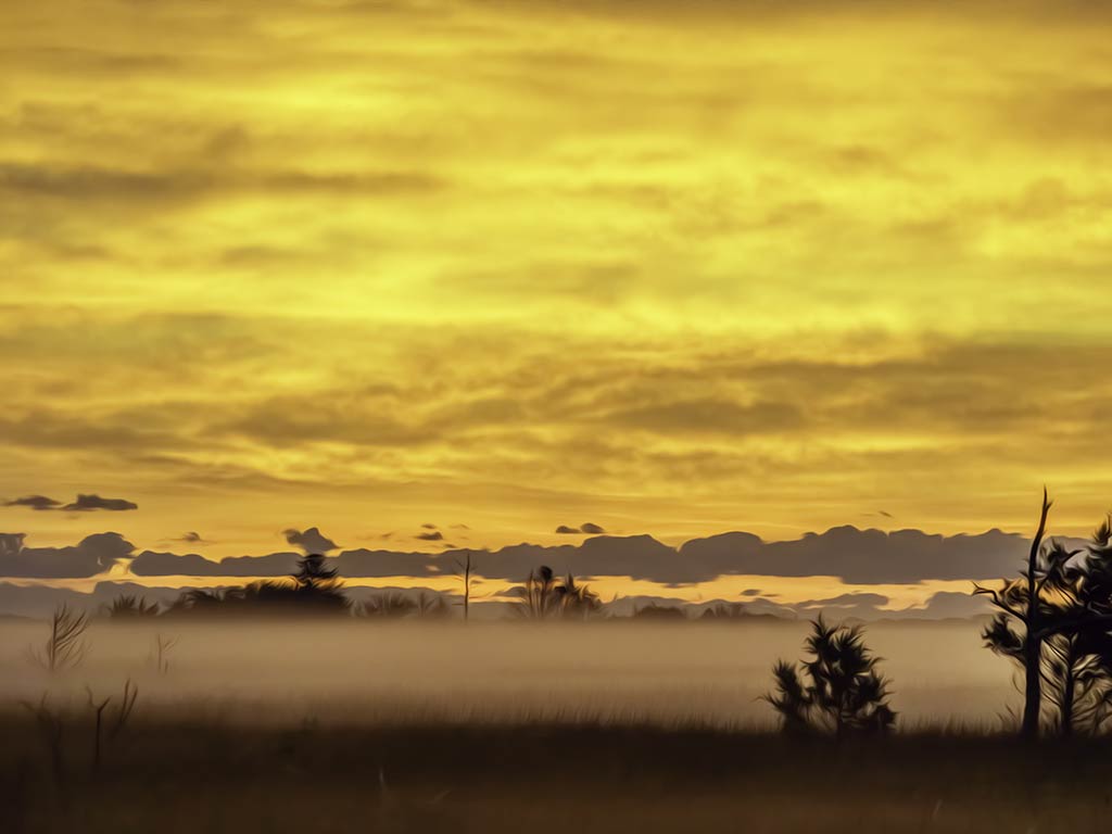 A view across a misty landscape near Wanchese, with yellow, cloudy skies above and some trees visible in the foreground and sticking out of the mist