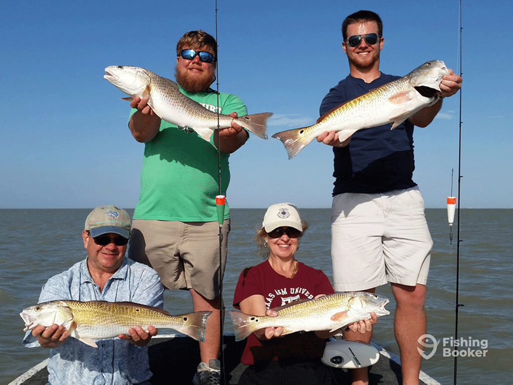 Four anglers on a fishing boat – two standing behind two sitting – with each holding a Redfish caught on an inshore fishing trip from Port Isabel, TX, on a sunny day