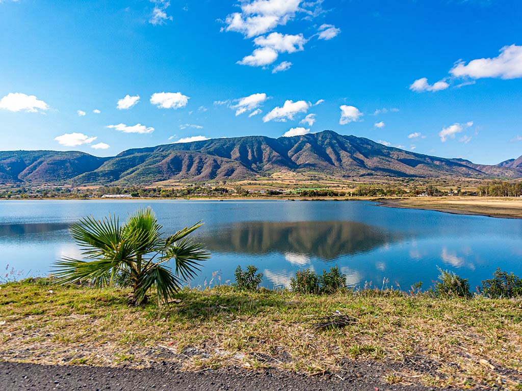 A view from shore across a lake in Jalisco, Mexico, towards a rocky mountain on a sunnny day with some foliage visible in the foreground