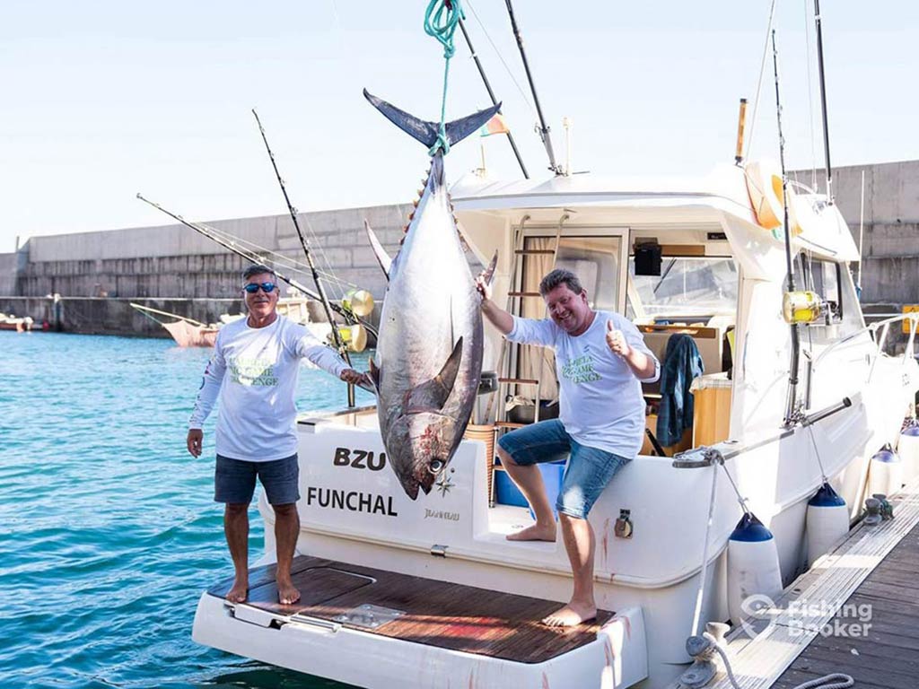 Two angler stand on the back of a fishing boat next to a dock in Madeira, with a large Bluefin Tuna hanging between them on a sunny day with a hill visible behind them in the distance