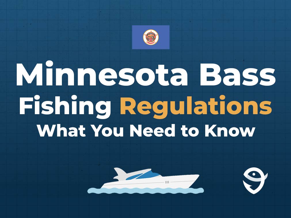 An infographic featuring the flag of Minnesota along with text that says "Minnesota Bass Fishing Regulations What You Need to Know" against a dark blue background