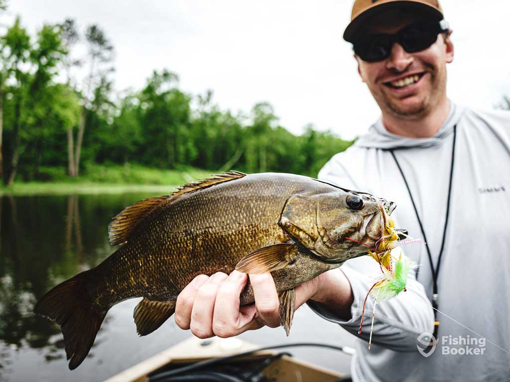 A man in a baseball cap and sunglasses holds his Smallmouth Bass catch to the camera, with a jig still in its mouth after being caught in Minnesota