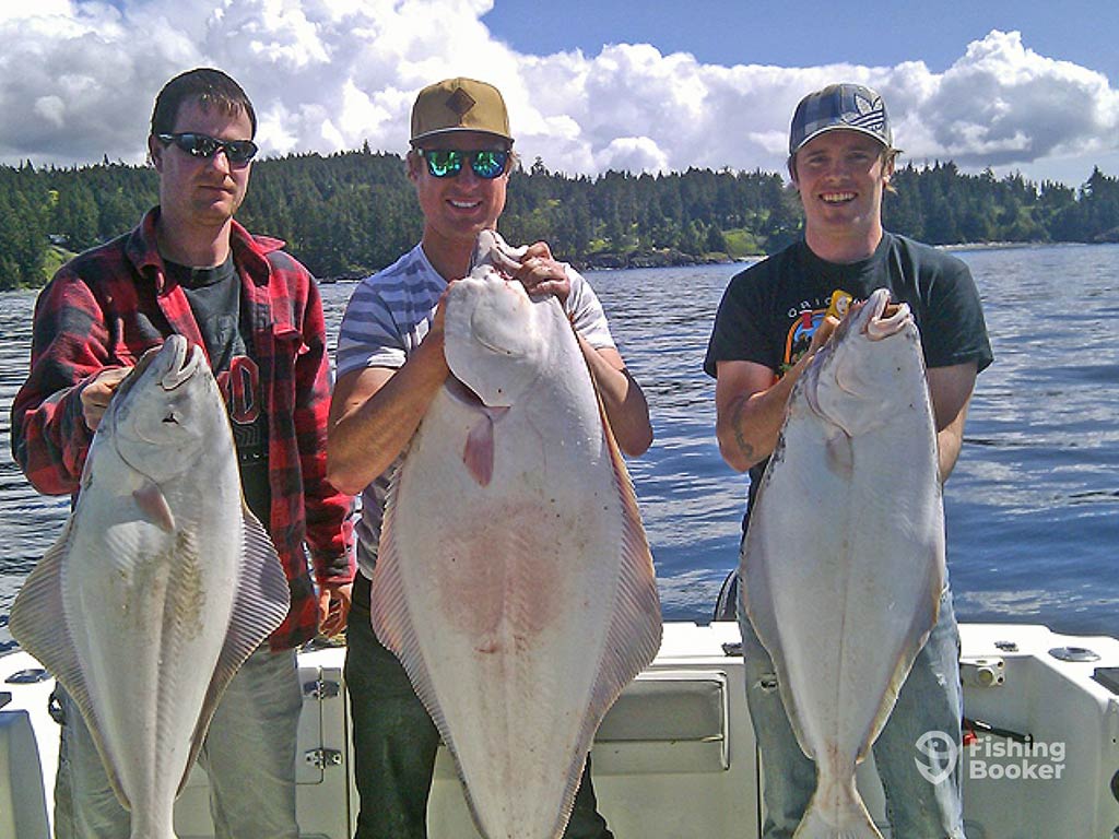 Three male anglers in their twenties holding a large Halibut each aboard a fishing charter, with the water and a green shoreline behind them on a sunny day