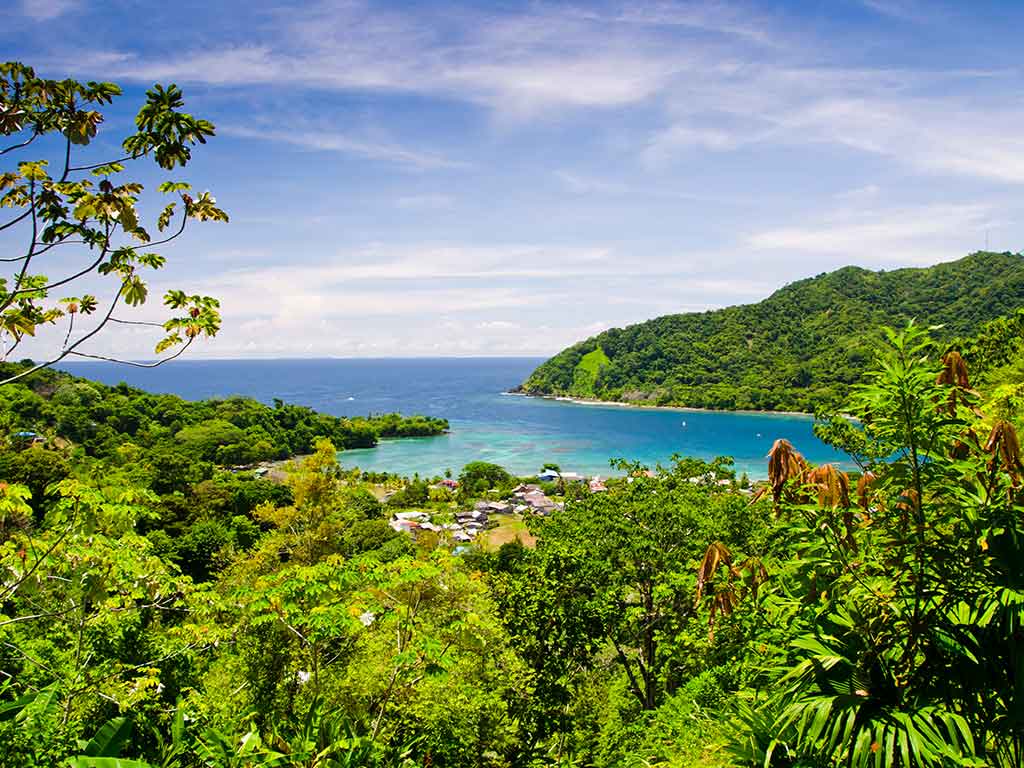 A view from a hill towards a bay in the Pacific Ocean on Panamá's south-western coast, with the jungle visible in the trees and turquoise waters in the distance on a sunny day