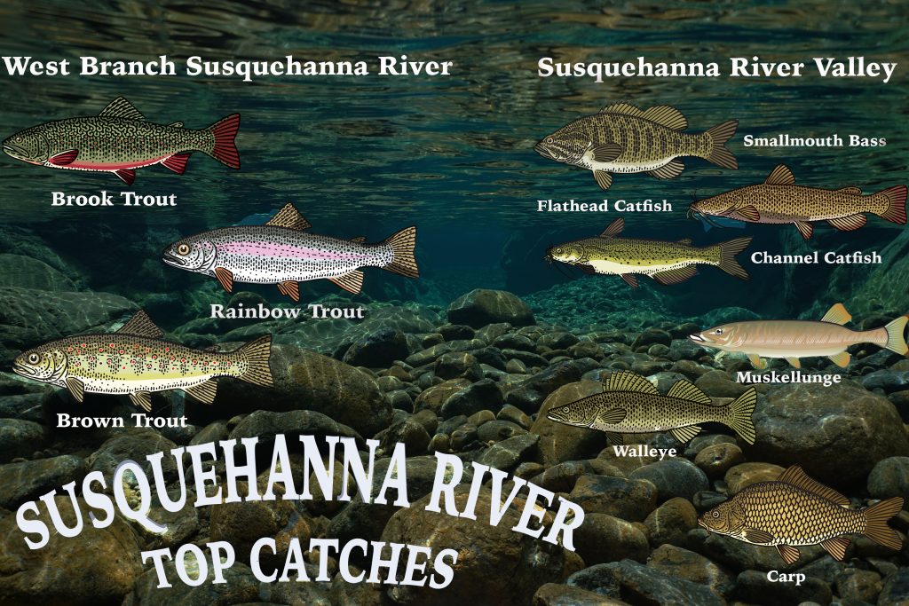 Susquehanna River Fishing: The Complete Guide (Updated 2023)