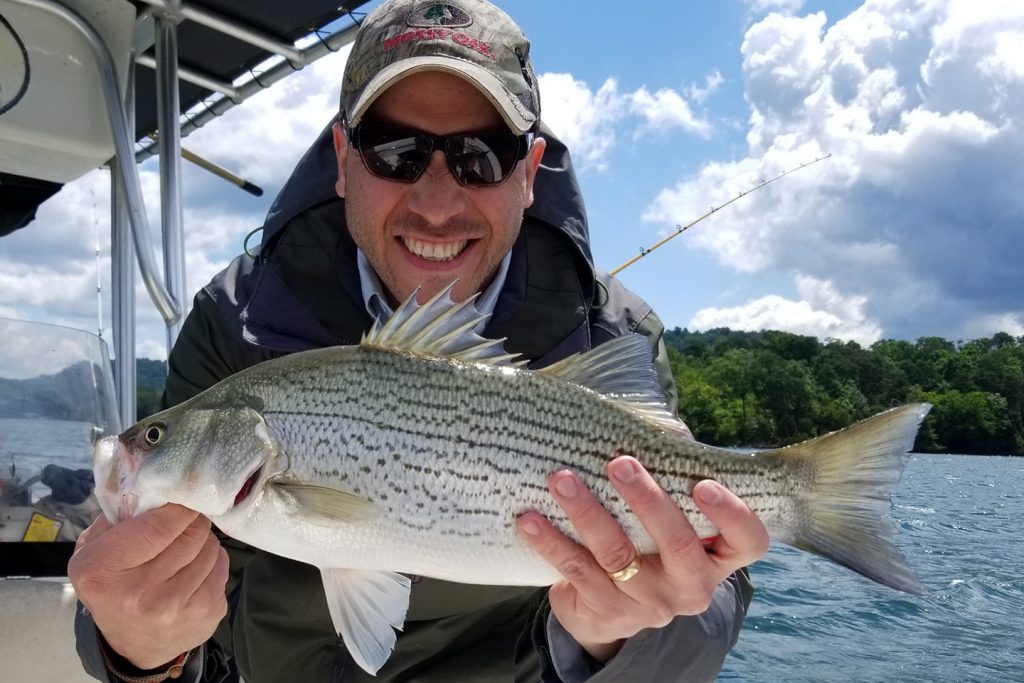 A smiling angler holding a Hybrid Striped Bass, a cross between White and Striped Bass