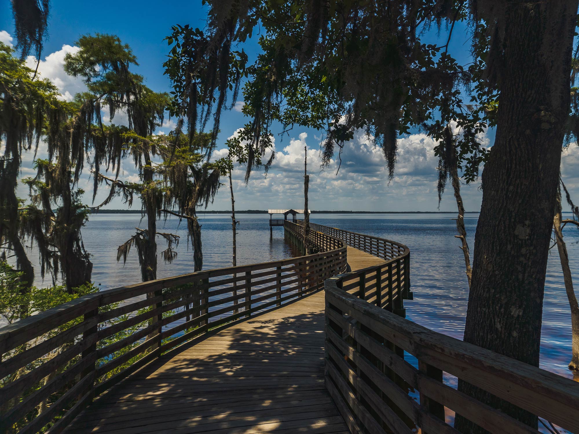 Jacksonville FL Fishing The Complete Guide (Updated 2023)