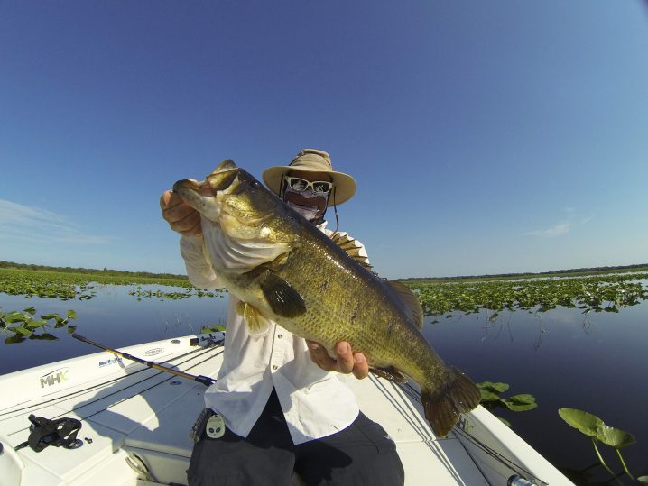 big mouth bass fish