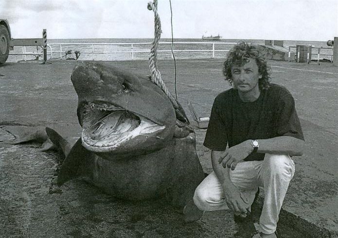 largest shark in the world caught