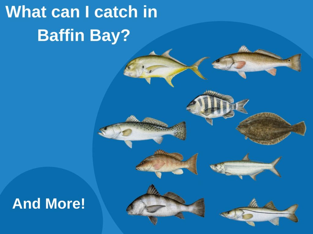 Baffin Bay Fishing