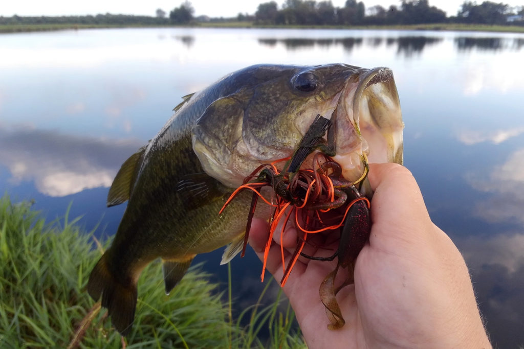 FISHING PLANET largemouth bass jig presentation