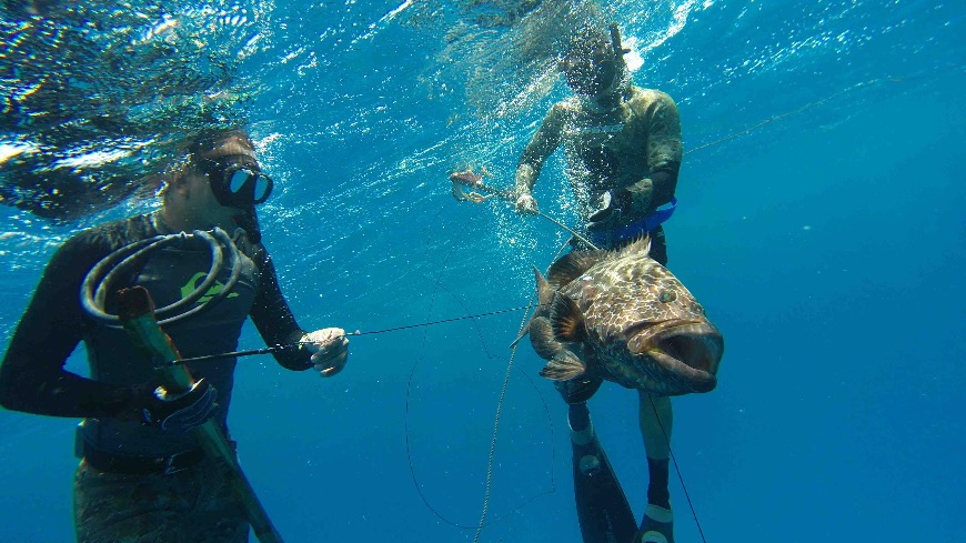 How to Go Spearfishing in the Bahamas: The Complete Guide