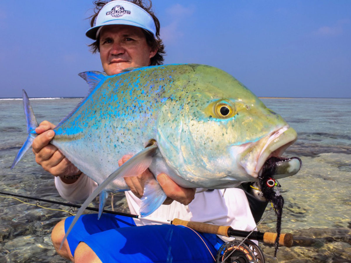 Jack fish что за рыба