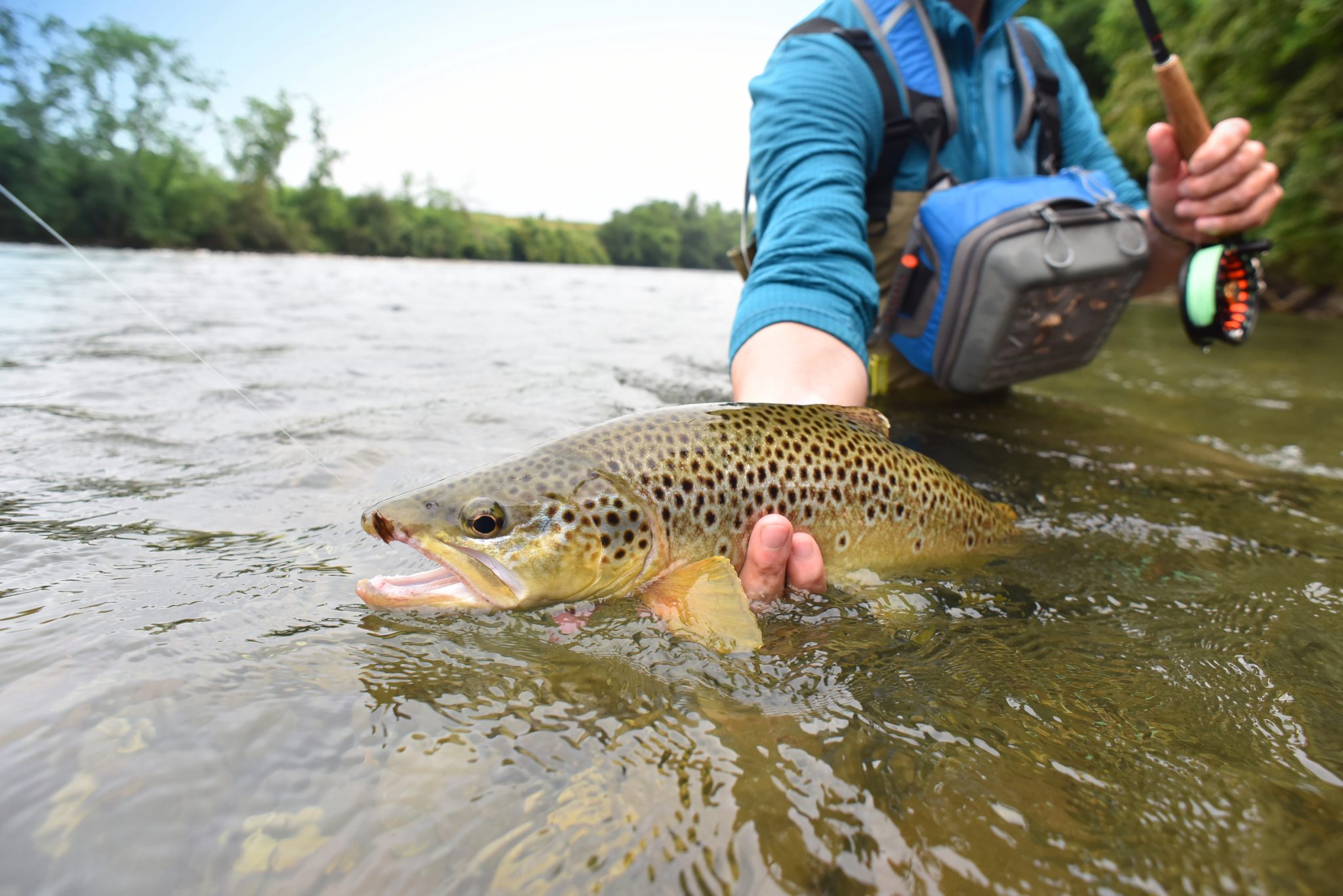 Newfoundland Fishing The Complete Guide (Updated 2023)