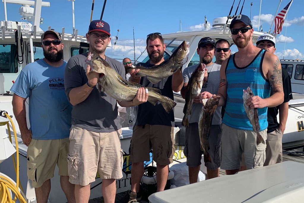 Cod Fishing At Cape Cod: Cod Charters With Big Fish II