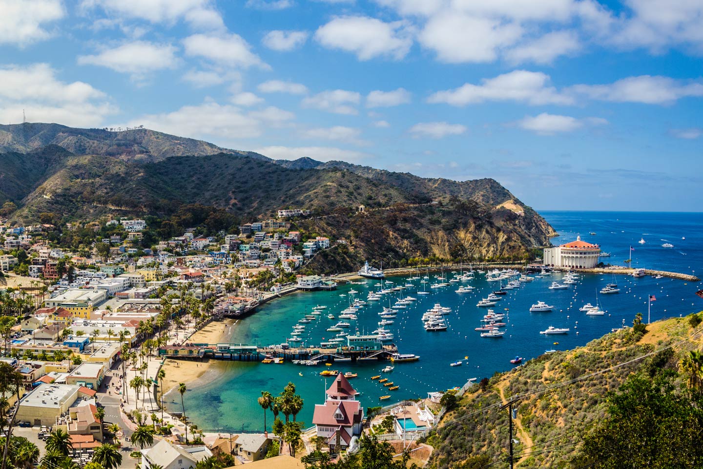 Catalina Island Fishing: The Complete Guide (Updated 2023)