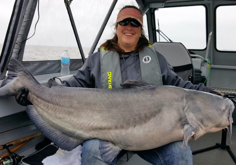 Catfish Noodling Getting to Grips With a Unique Way to Fish
