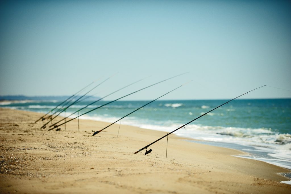 Fishing rods set up on a sandy beach